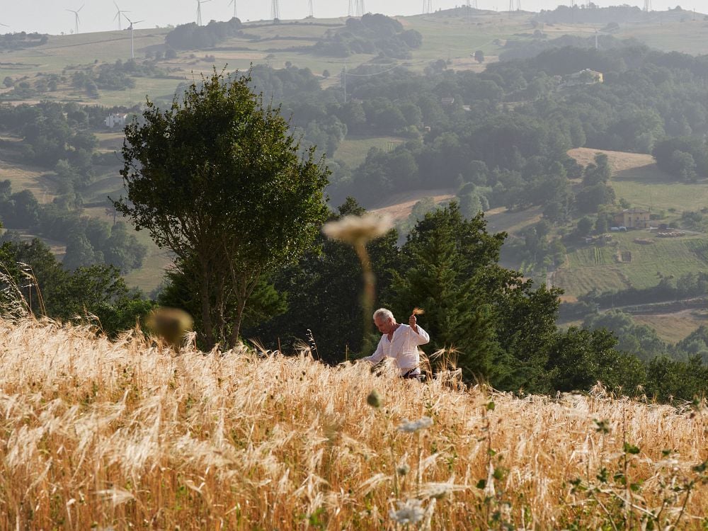 La transizione all’agroecologia per fare pace con la Natura. Il G7 ne prenda atto