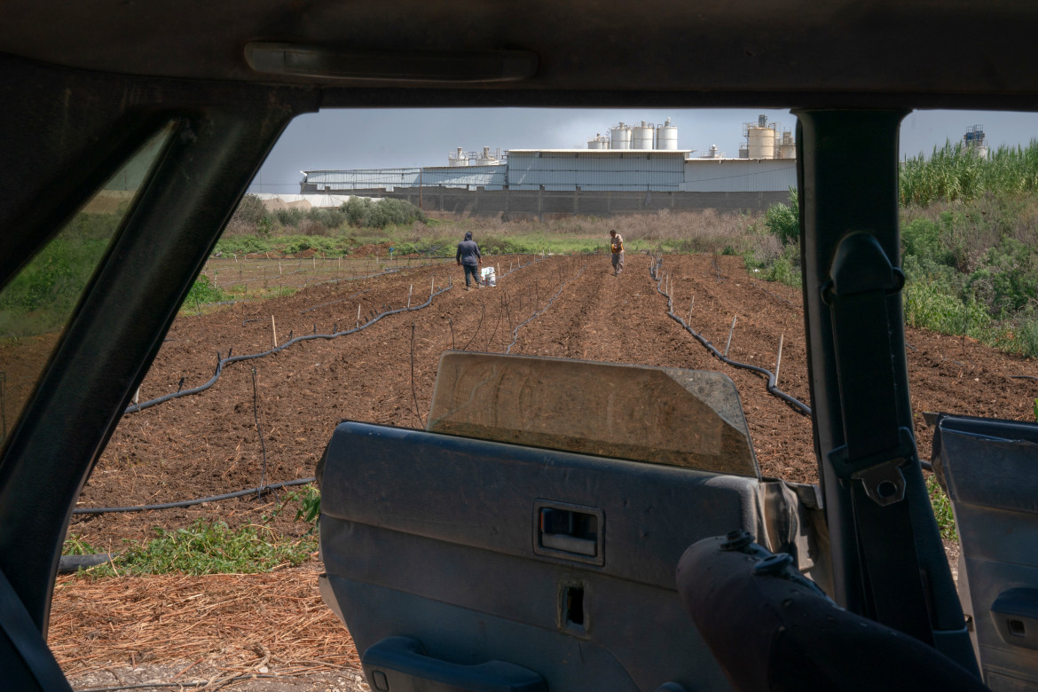 Due uomini coltivano il loro campo nella zona industriale di Tulkarem. Sullo sfondo la fabbrica di pesticidi, una delle 12 che compongono Nitzanei Shalom