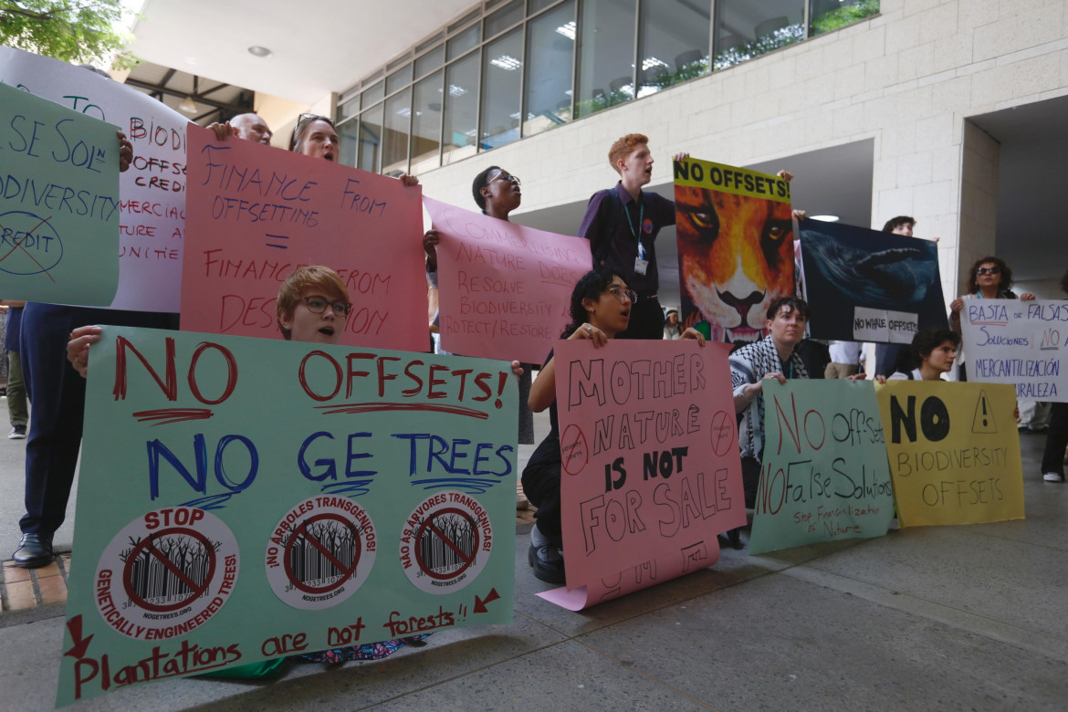 Proteste ambientaliste alla Cop16 di Cali (Colombia)