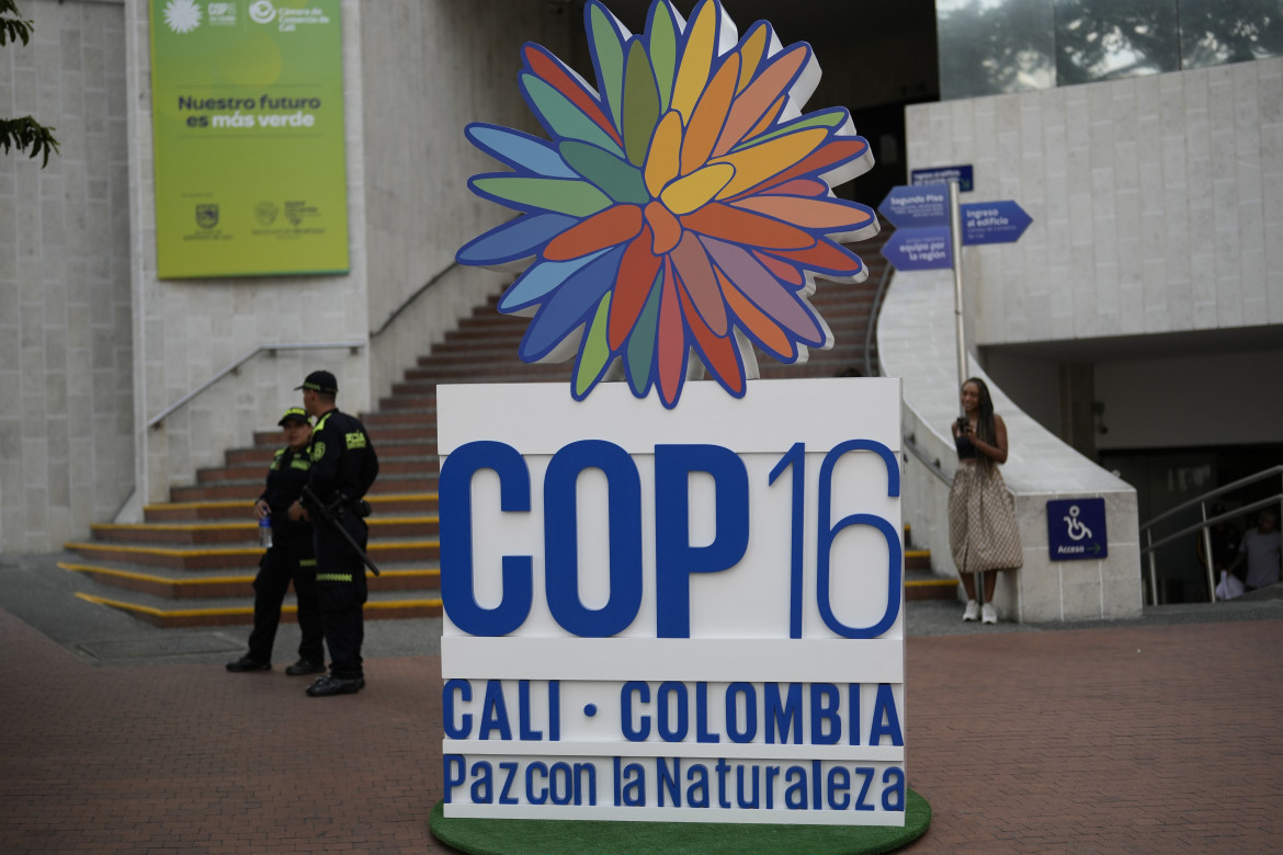 La conferenza sulla biodiversità delle Nazioni unite Cop16 a Cali, in Colombia foto Ap