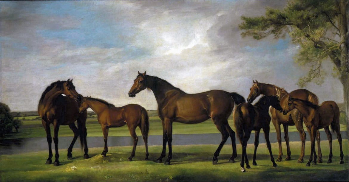 George Stubbs, «Cavalle e puledri»