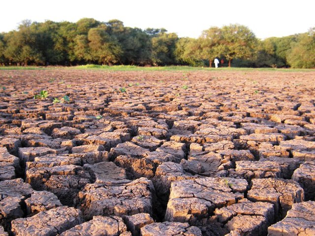 Tanto fango e poca acqua