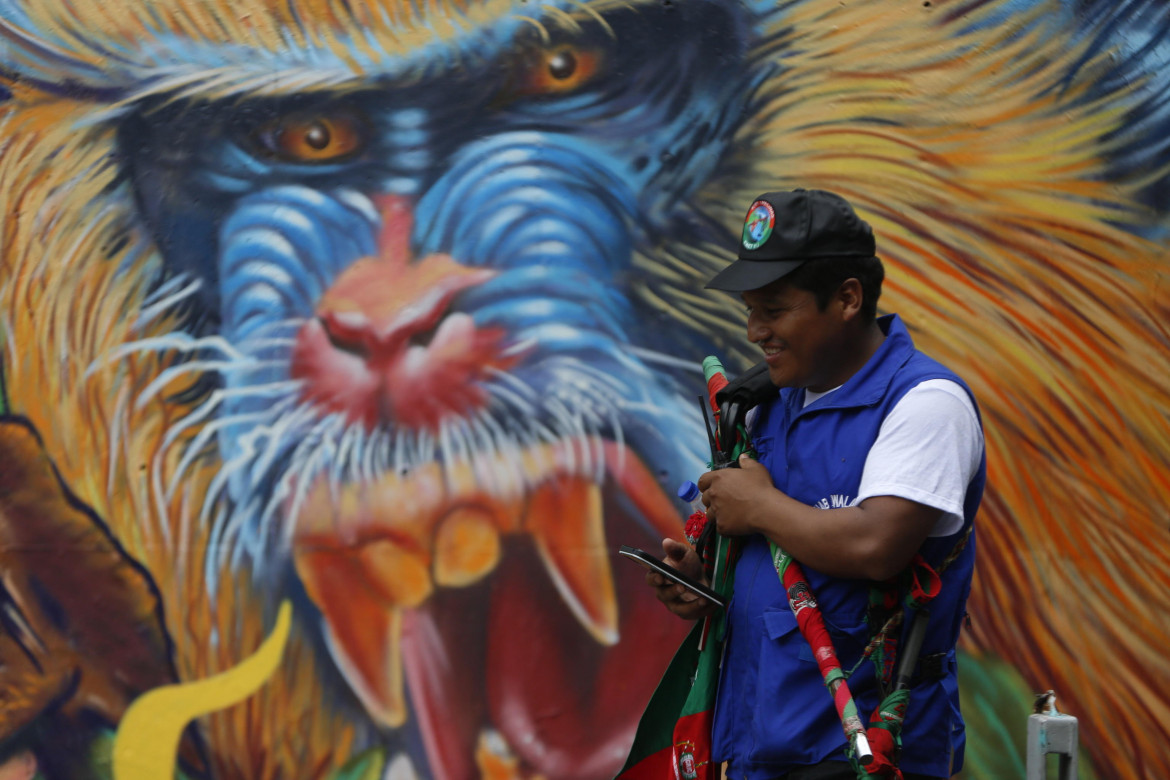 Un indigeno partecipa a una marcia dal Parque de las Banderas al centro di Cali, in Colombia durante la Cop16 foto di Ernesto Guzman/Ansa