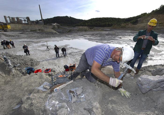 Sondrio, trovato un ecosistema del Paleozoico