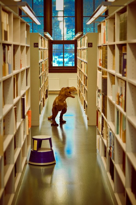 Salvi Expo e scuola, a rischio le biblioteche