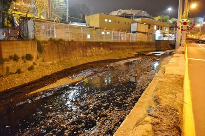 Petrolio, disastro ecologico sul fiume Polcevera