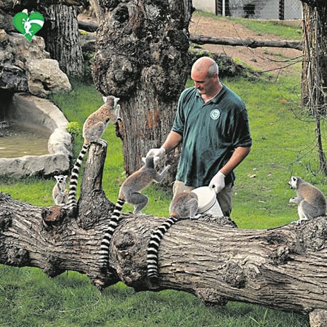 (Quasi) sciopero al Bioparco di Roma