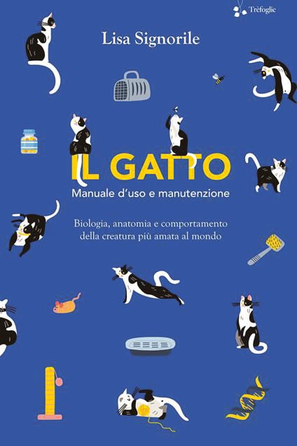 Vivere con un gatto, l’amorevole e sfuggente figlio di Satana in casa