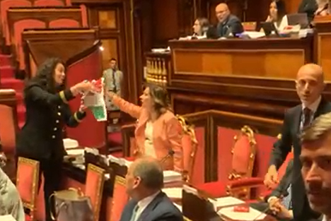 Casellati scrive al manifesto: «Sventolavo il tricolore, ma per invitare alla calma»