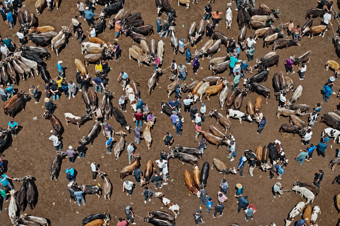 01-veduta-aerea-di-un-mercato-di-bestiame-a-yili-nella-regione-dello-xinjiang-nella-cina-nordoccidentale-getty-images