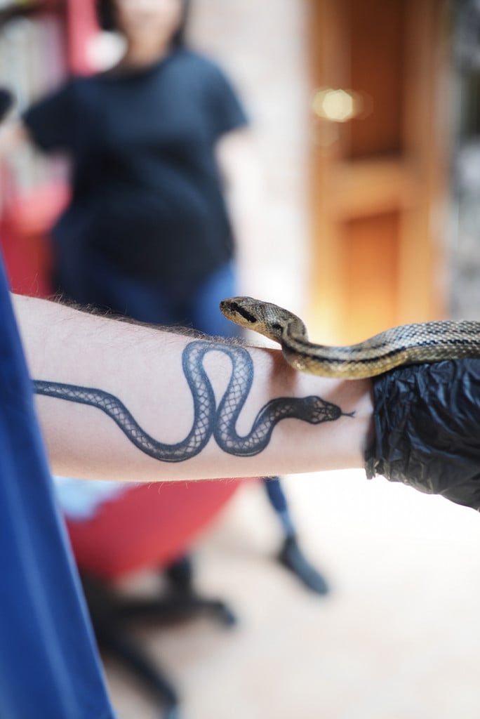 Un erpetologo studia e registra i serpenti, Cocullo 2024, di Valentina De Santis
