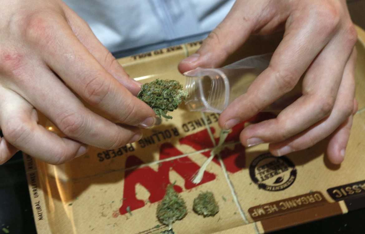 Depenalizzare la cannabis, una proposta in erba