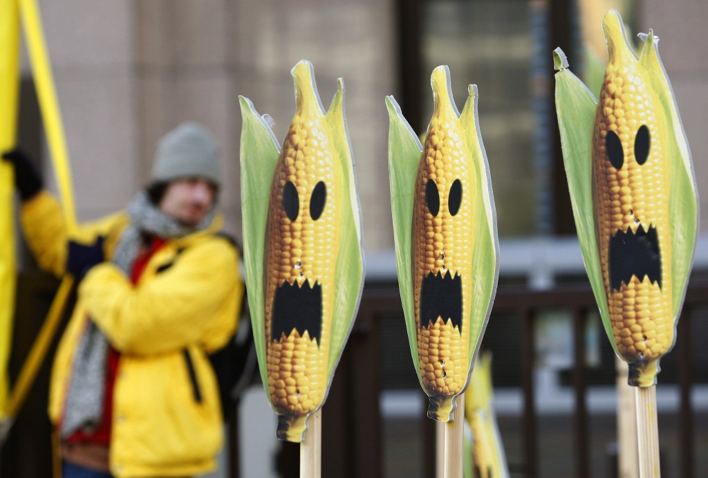 Ue: Monsanto rinuncia a coltivare ogm (salvo il Mon 810)