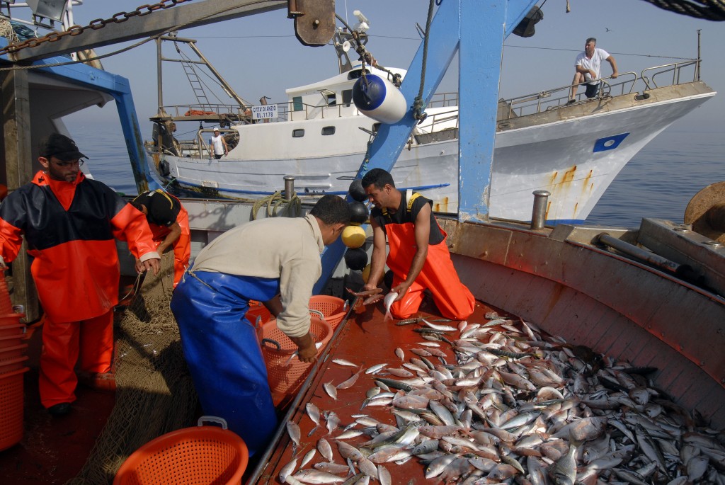 L’Europarlamento: stop alla pesca con scariche elettriche