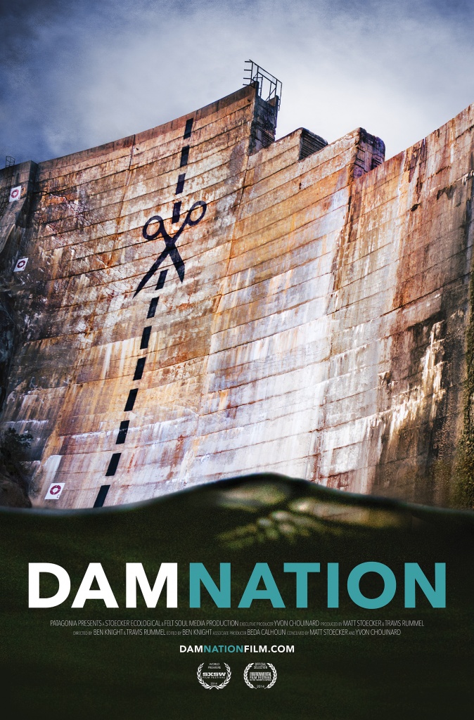 DamNation, la locandina del film