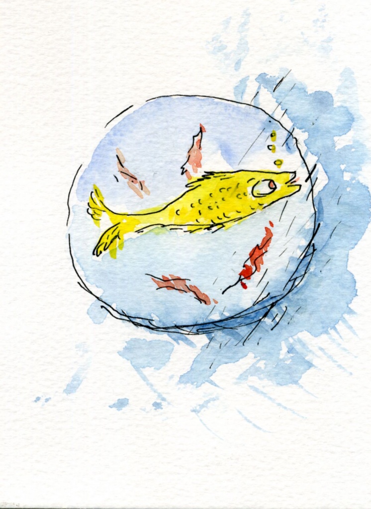 pesce d'oro-1