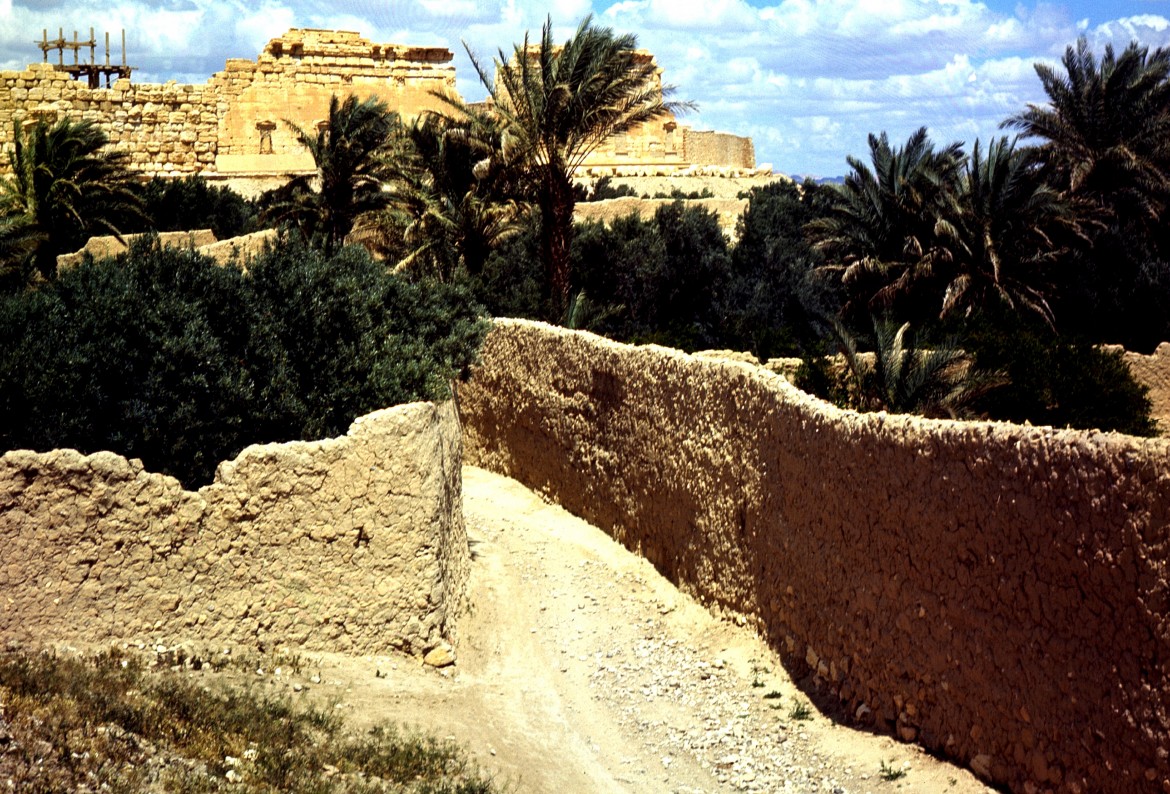 L’Isis trasforma Palmira in un campo minato