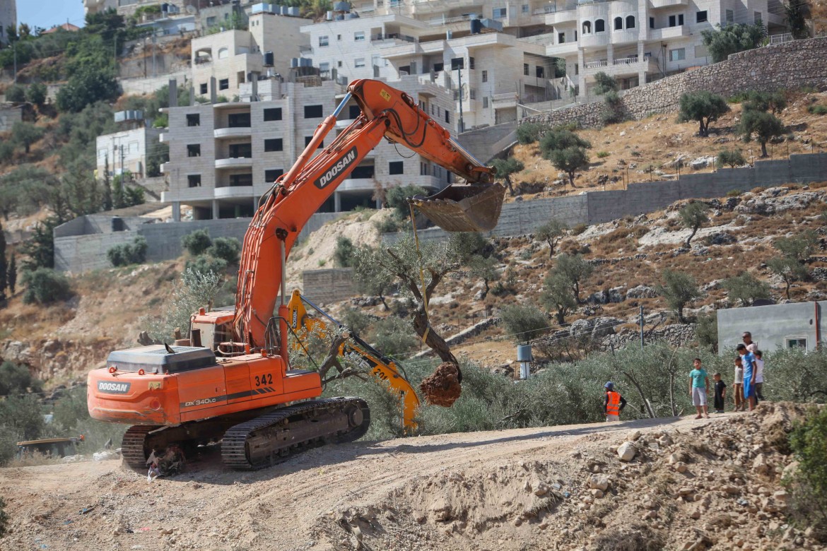 Cisgiordania, riprendono le demolizioni di case palestinesi
