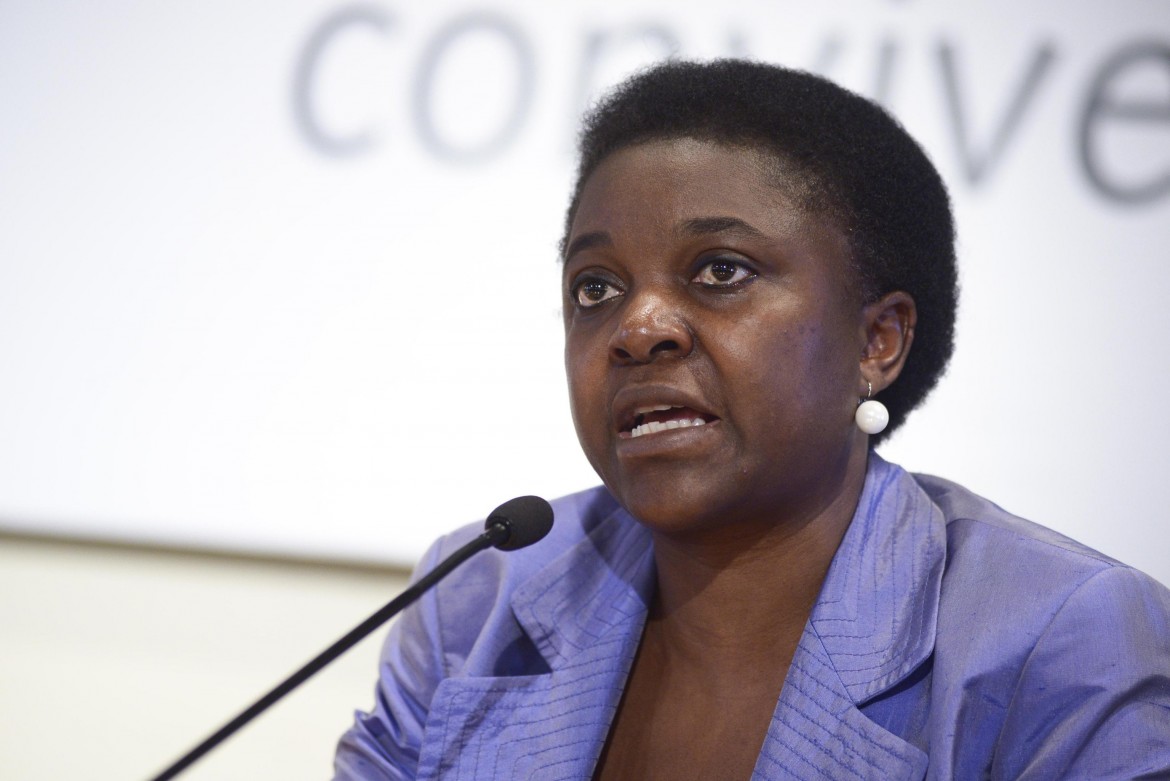 Cécile Kyenge: «Nuove regole per evitare che ognuno faccia come vuole»