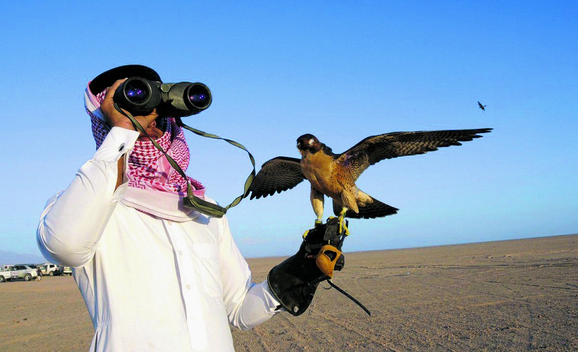 Uccellacci e uccellini in Pakistan