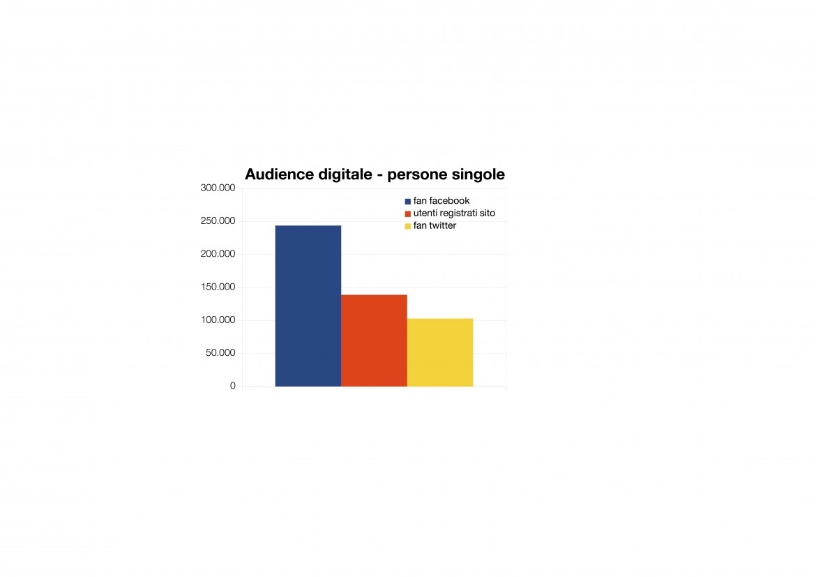 grafico audience digitale