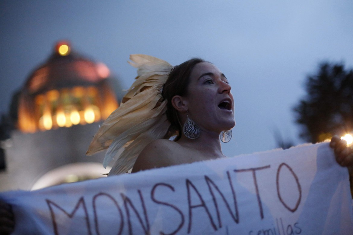 Il parlamento Ue vieta l’ingresso a Monsanto
