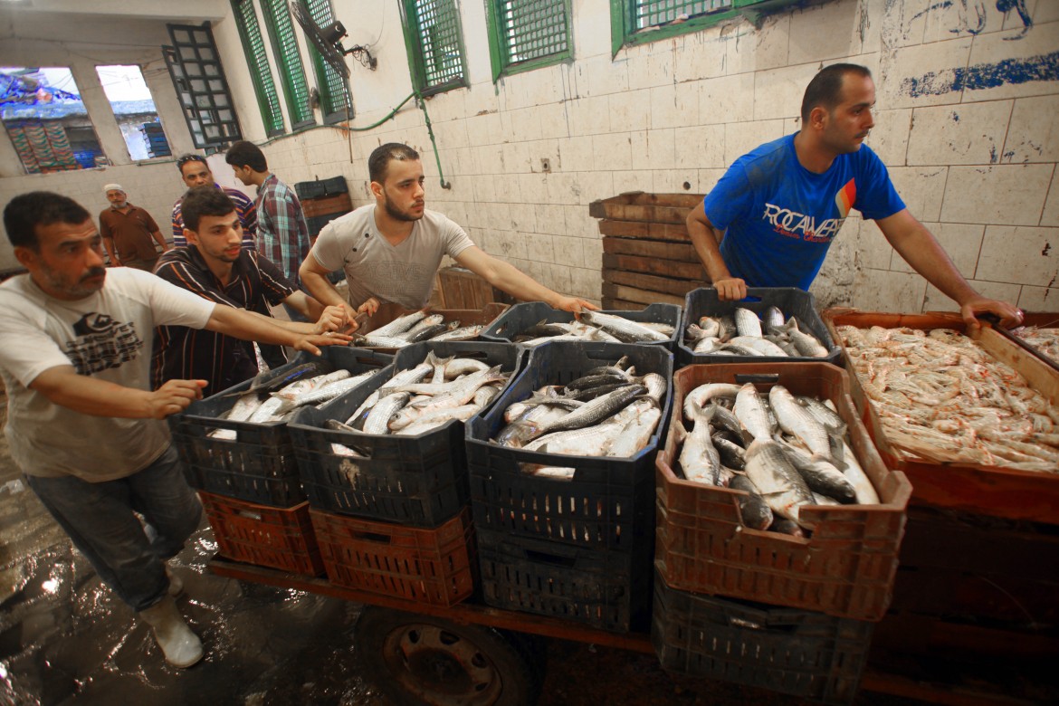 Latte artificiale e pesce fresco: i nuovi «carri armati» di al-Sisi