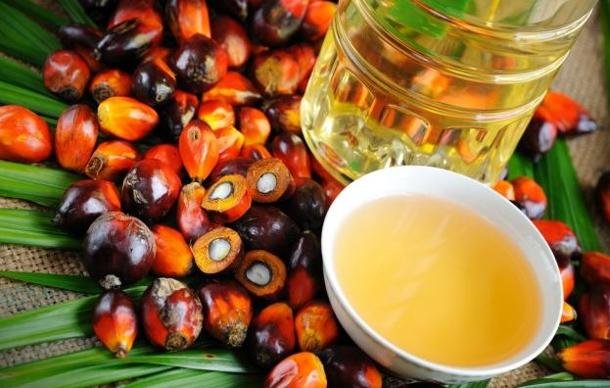 Coop, tanti saluti all’olio di palma