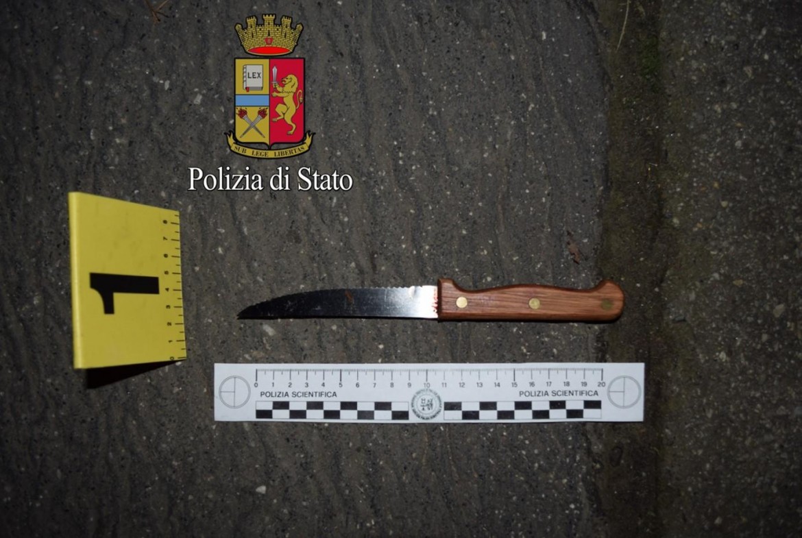 Milano, uccisa dal marito a coltellate dopo venti anni di violenze