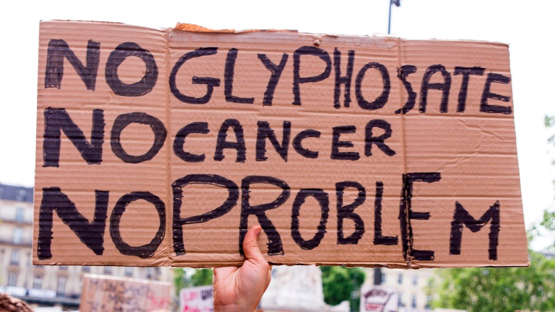 Secondo l’Agenzia europea per le sostanze chimiche (Echa) il glifosato non è cancerogeno