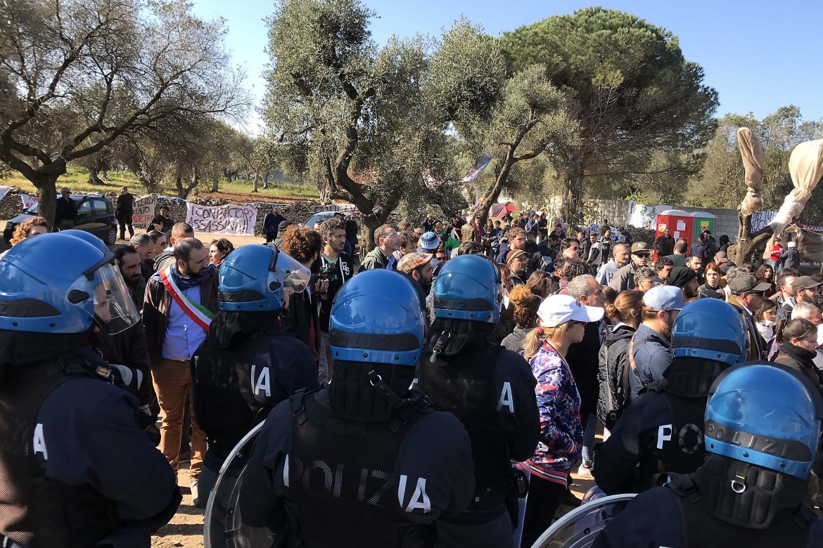 Gasdotto Tap, i cittadini fanno scudo agli ulivi, cariche della polizia
