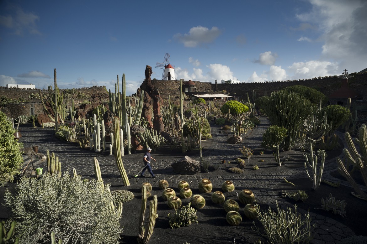 Lanzarote, Jardìn de Cactus. Nel giardino meraviglioso