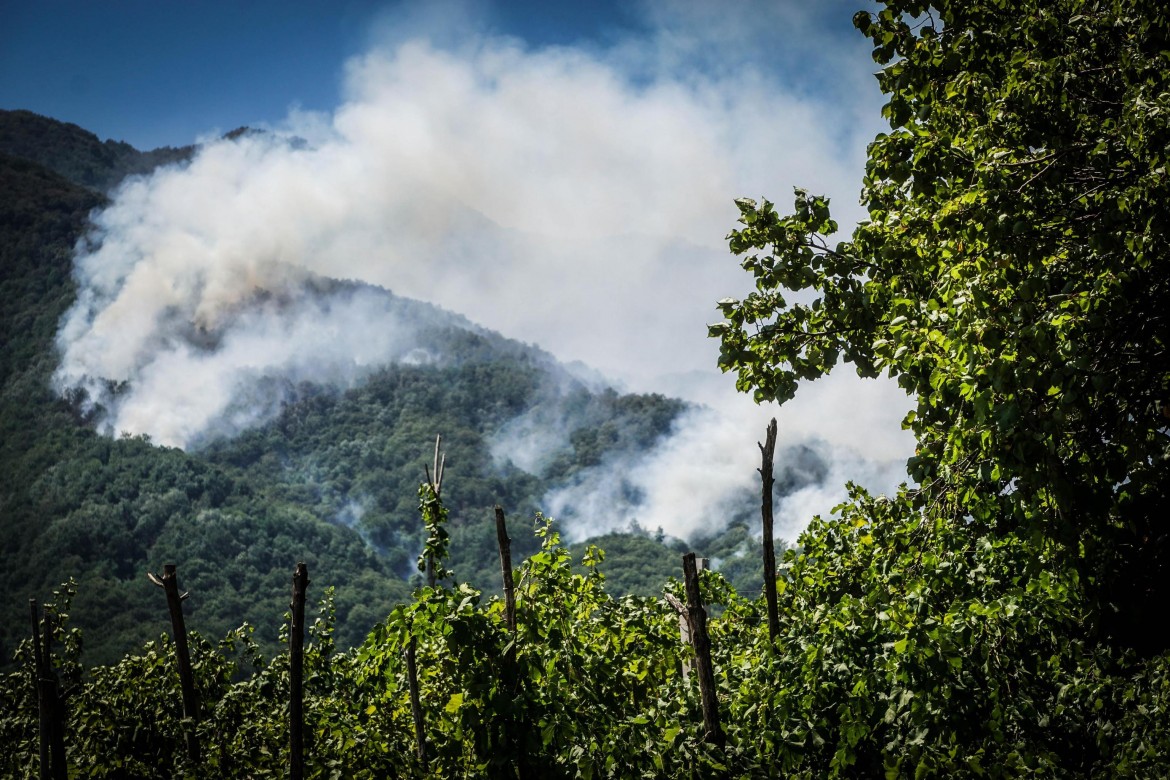 Piromani e incuria: gli incendi in Italia sono quadruplicati