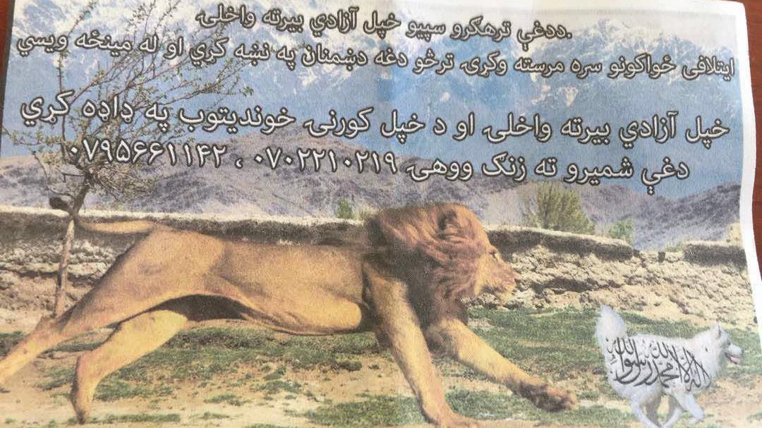 Il leone e il cane, volantini nel cielo di Kabul