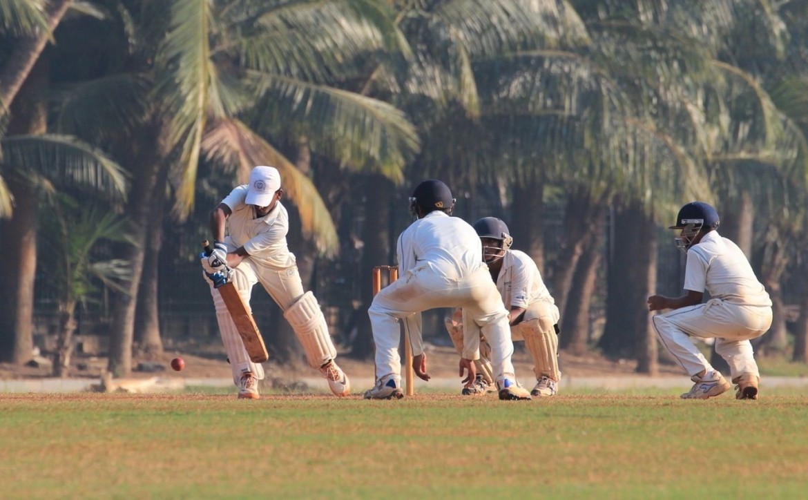 Il cricket eredita il governo delle pulsioni sessuali
