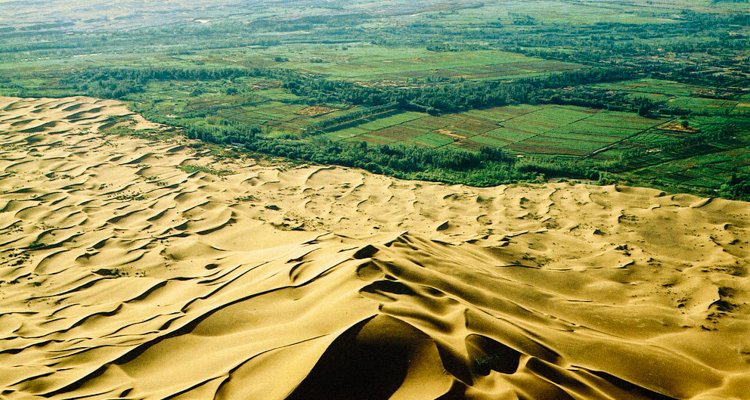 La “muraglia” verde che attraversa l’Africa per arginare il deserto