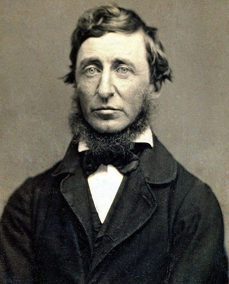 Henry David Thoreau, contemplazioni marine