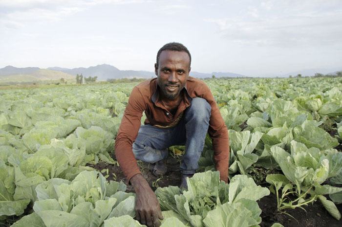 Etiopia, geni contadini