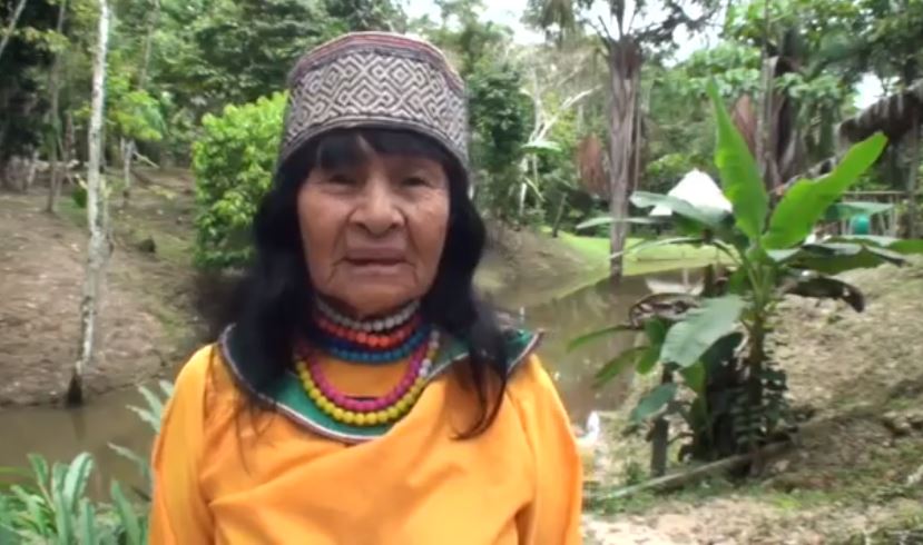 Olivia Arevalo Lomas, ancora una leader indigena uccisa in America Latina