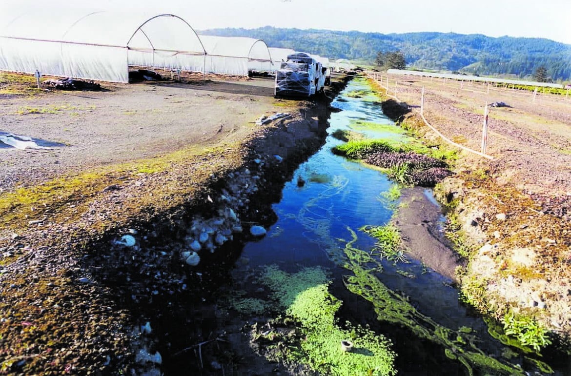 Fiumi, laghi e acque profonde sempre più saturi di pesticidi