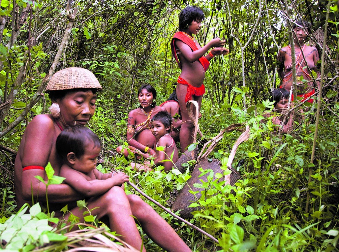 Yanomami, la piega dietro al ginocchio