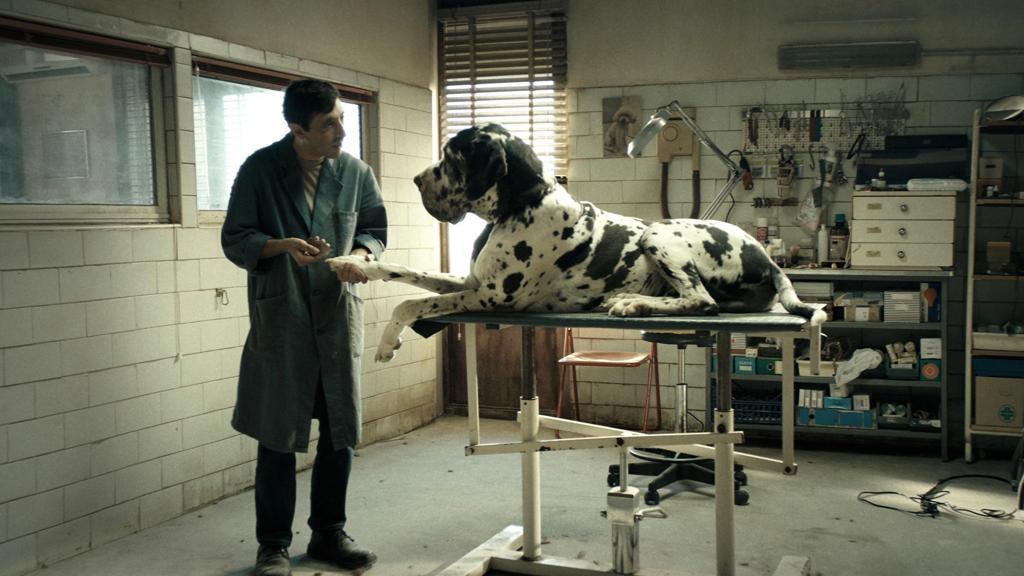 «Dogman» è il candidato  italiano per gli Oscar