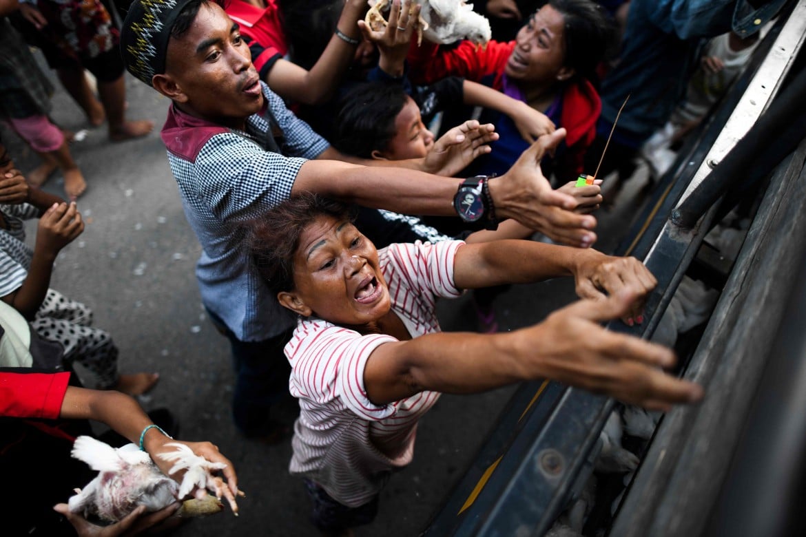 Indonesia, oltre 1.300 morti. E i vivi devono rubare il cibo