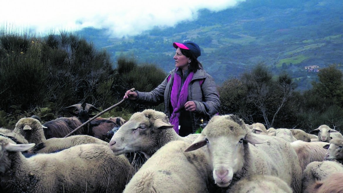 Sardegna, storie di donne pastore