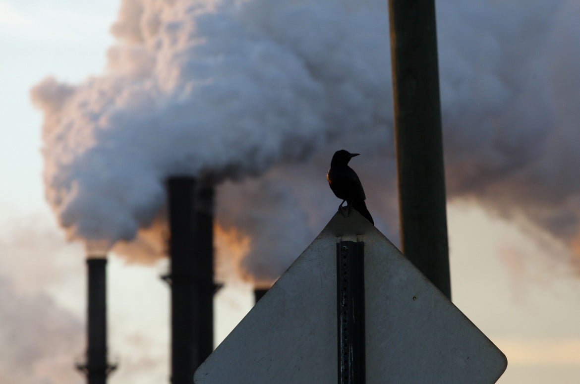 L’Onu: «Un quarto dei morti al mondo per inquinamento»