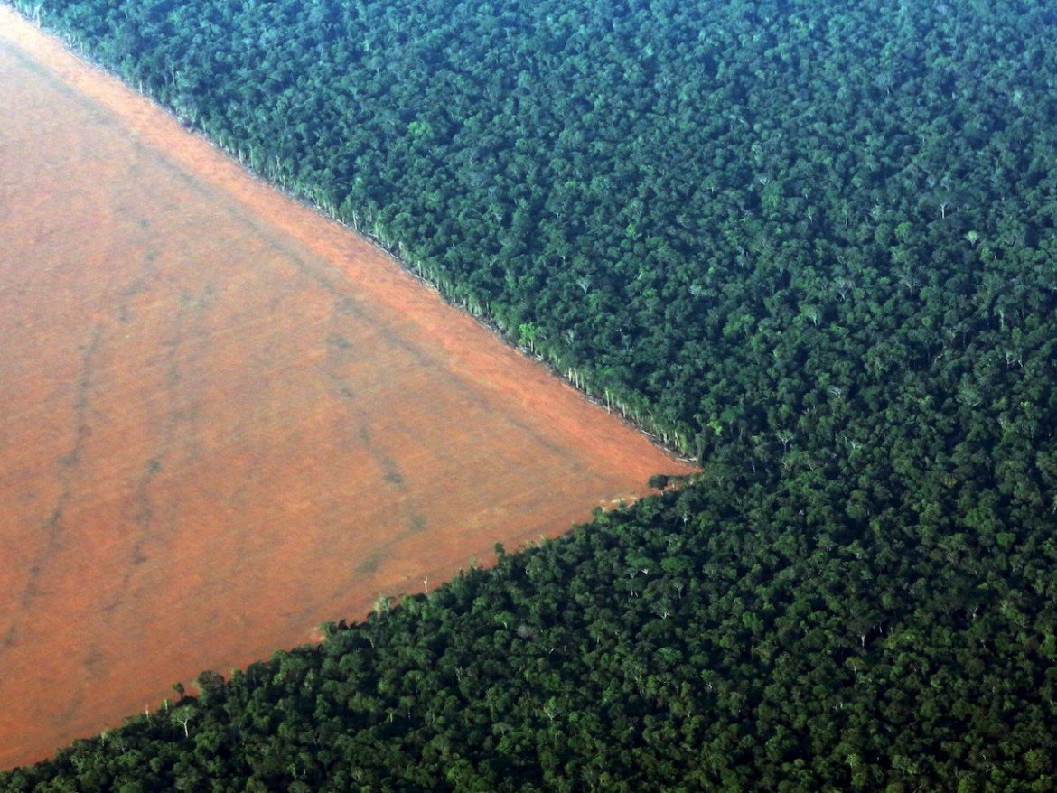 Bolsonaro: licenza di uccidere indios e deforestare l’Amazzonia