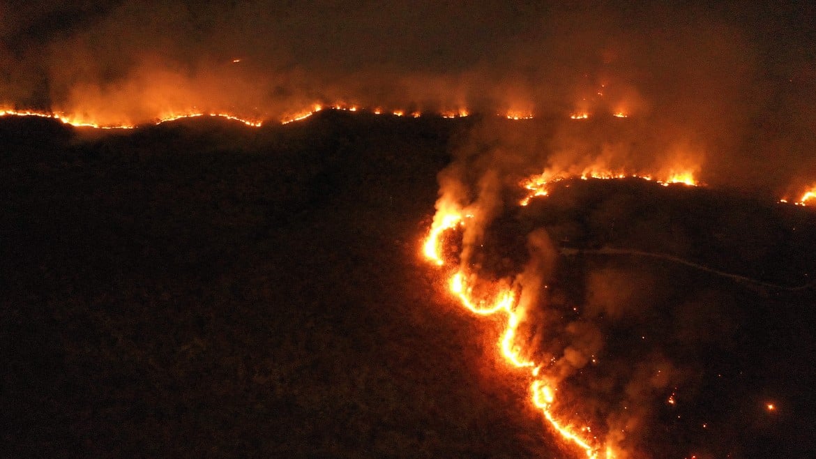 Amazzonia, gli incendiari  gridano al fuoco