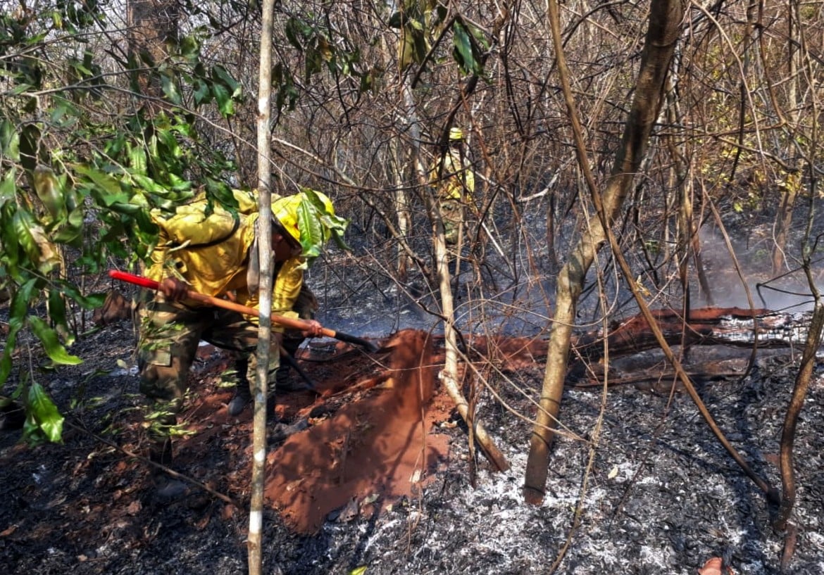 Amazzonia in fiamme: c’era «un piano preciso» della bancada ruralista