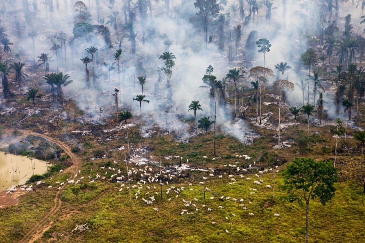 Amazzonia assediata: «I nostri corpi in prima  linea per salvarla»