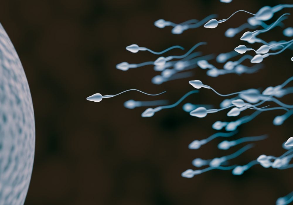 Non ci sono più gli spermatozoi di una volta